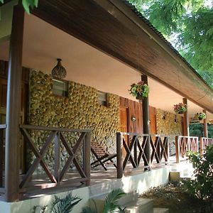 Habitación Estándar con 2 Camas Individuales
